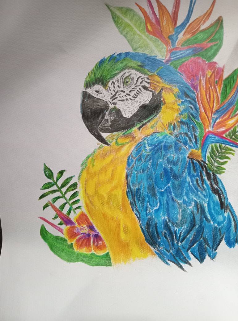 Original Illustration Animal Drawing by Imasha Dulanjali