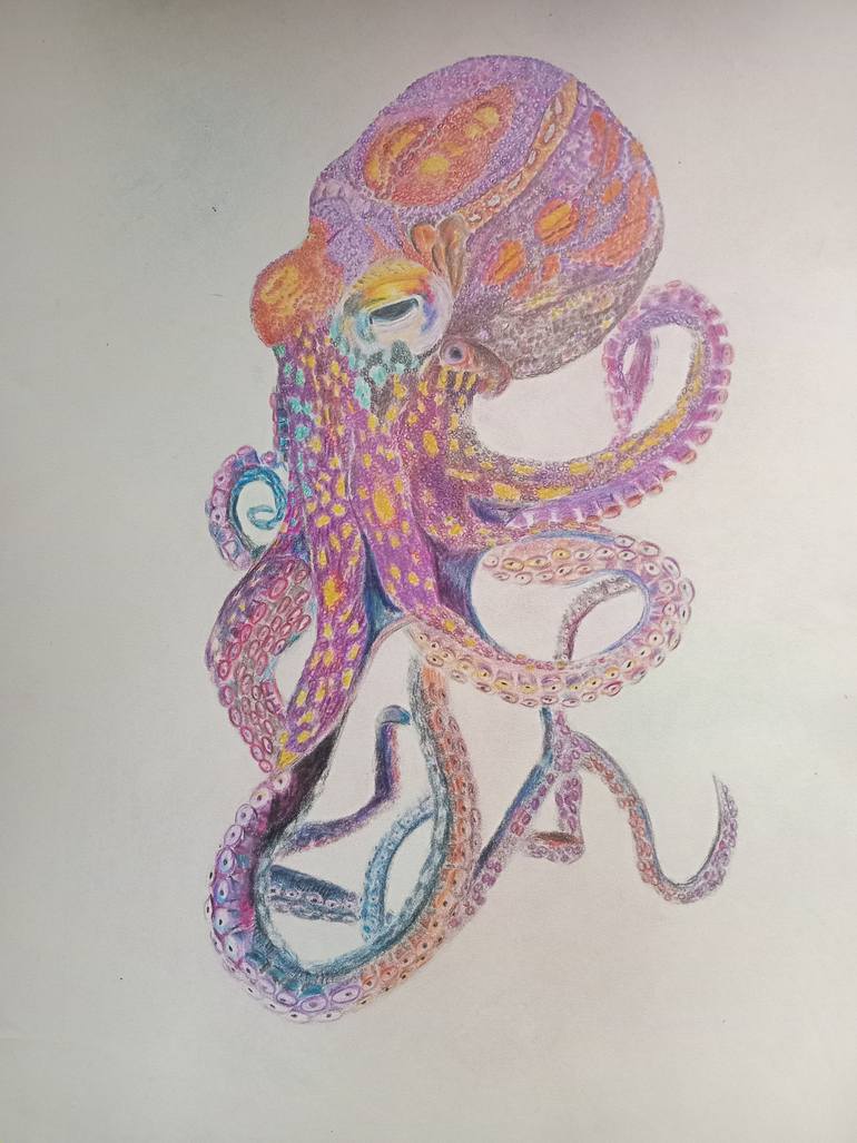 Original Illustration Animal Drawing by Imasha Dulanjali