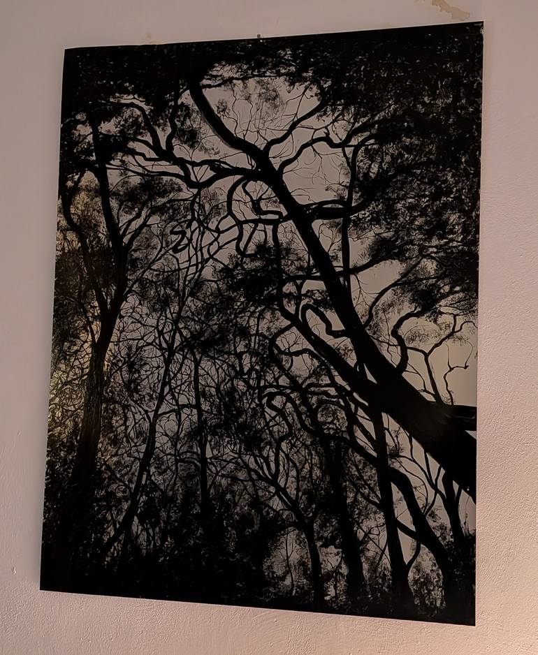 Original Black & White Nature Painting by Pepijn Simon