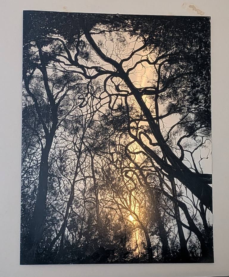 Original Black & White Nature Painting by Pepijn Simon
