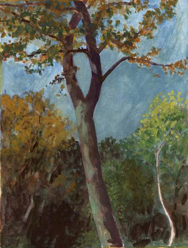 Original Impressionism Tree Paintings by Kenneth Richards