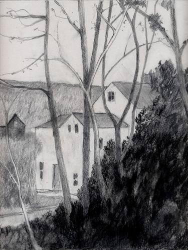 Original Realism Tree Drawings by Kenneth Richards