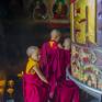 Collection Bhutanese little monks