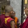 Collection Bhutanese little monks
