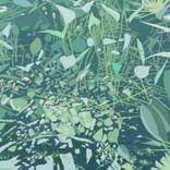 Warm, Green and Wet. by Malcolm Warrilow