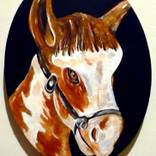 Tampico by Paul Morris-Pollux