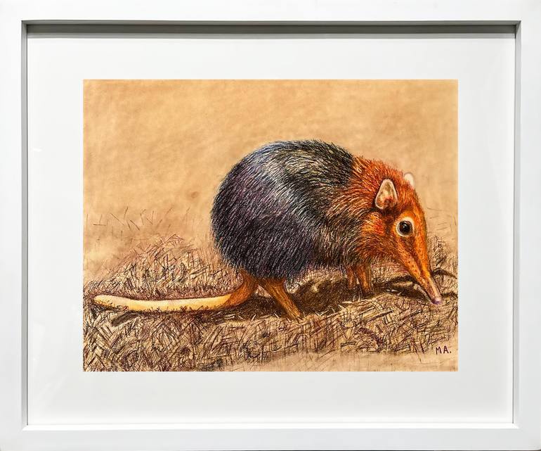 Original Contemporary Animal Drawing by Ma Guadalupe Salinas