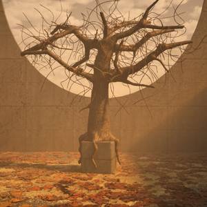 Echoes of Time