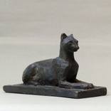 Sphynx cat by Angelika Kienberger