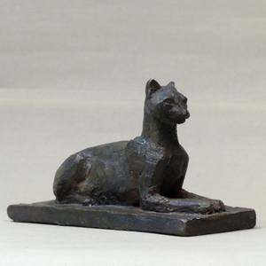 Sphynx cat