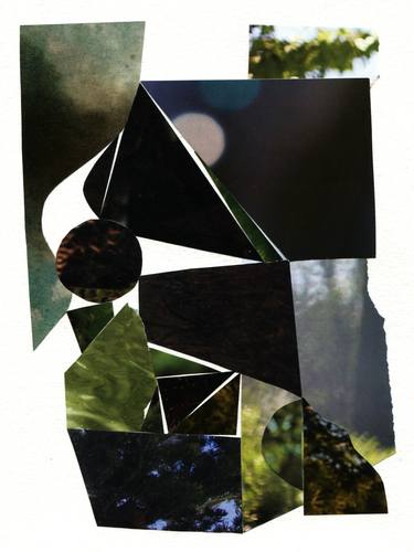 Print of Nature Collage by Russell C Smith