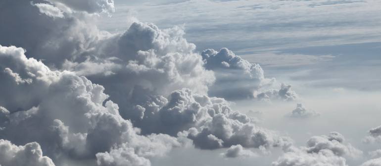 Original Abstract Nature Photography by Seb Janiak