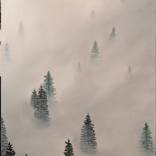 Collection Sweater Weather