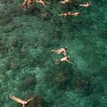 Collection New This Week 09-29-2025