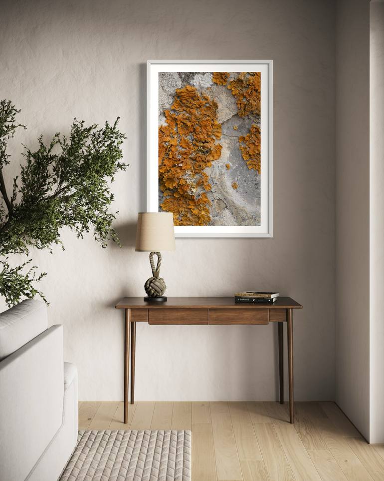 Original Minimalism Abstract Photography by Taylor O'Sullivan