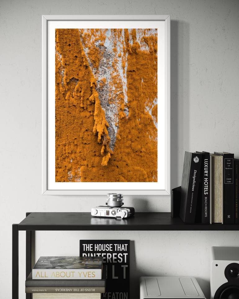 Original Documentary Abstract Photography by Taylor O'Sullivan