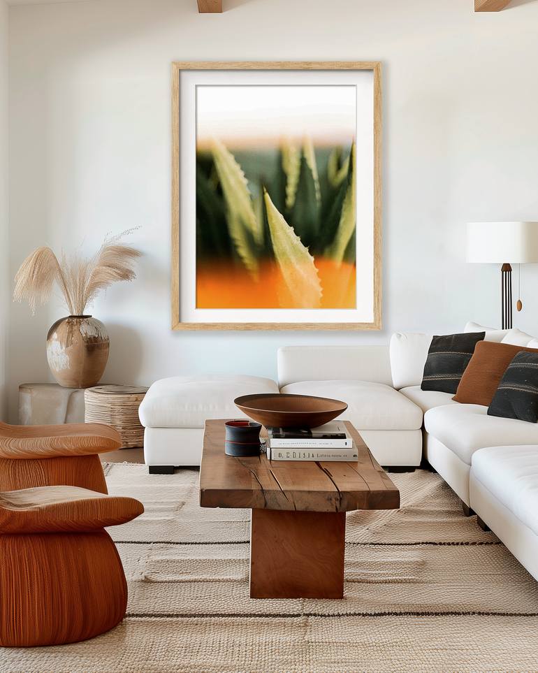 Original Abstract Nature Photography by Taylor O'Sullivan