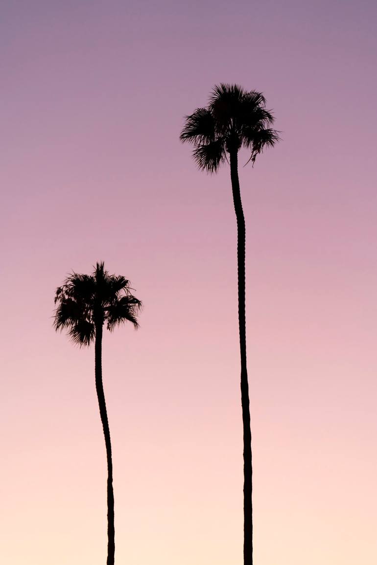 Original  Photography by taylor o'sullivan