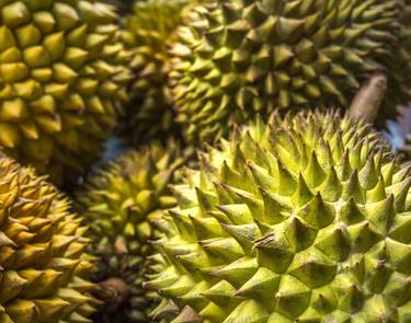 Close up of several exotic asian durians thumb