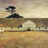 Collection American Realism