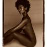 Collection Polaroid Nudes by Brad Starks