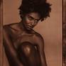Collection Polaroid Nudes by Brad Starks