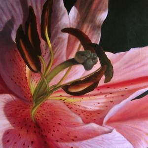Collection Flowers