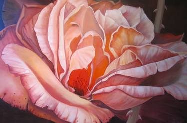 Original Realism Botanic Paintings by Peta Laurisen