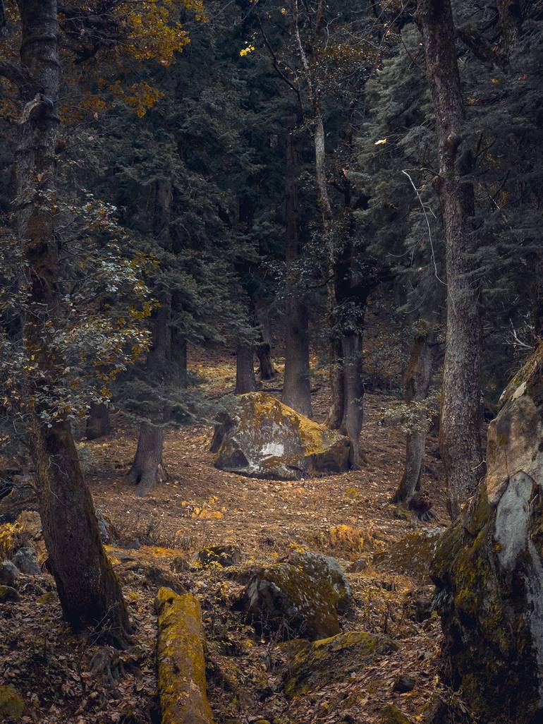 Tierra Encumbrada 02 Lofty Land Photography by Ciro Jaumandreu