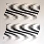 Curvas Opticas en negro VIII by Alberto Gonzalez Vivo