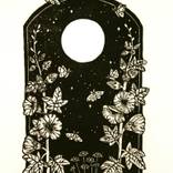 Collection In a Whimsical World