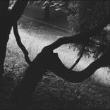 Collection Photography for $500 & Under