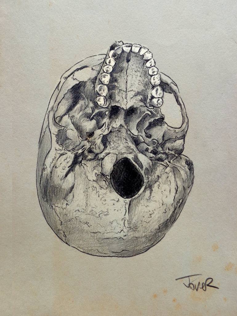 Cranium Print  Grammatical Art