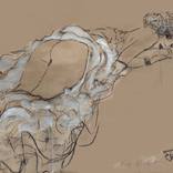 Collection Salon Wall Collection: Desert Neutrals