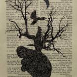 limited editions thumb