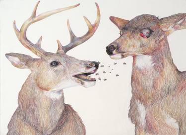 Print of Animal Drawings by Hannah Ward