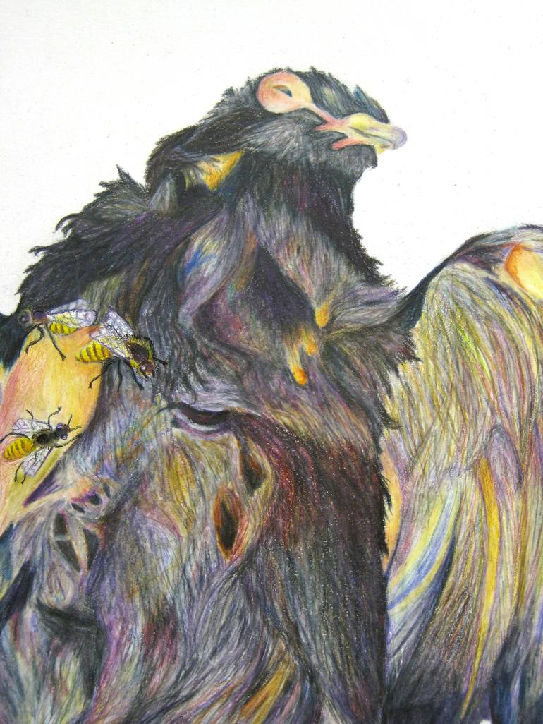 Original Realism Animal Drawing by Hannah Ward