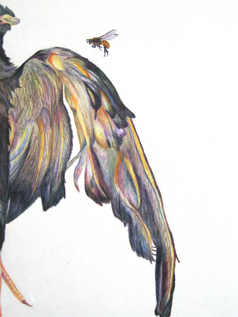 Original Animal Drawing by Hannah Ward