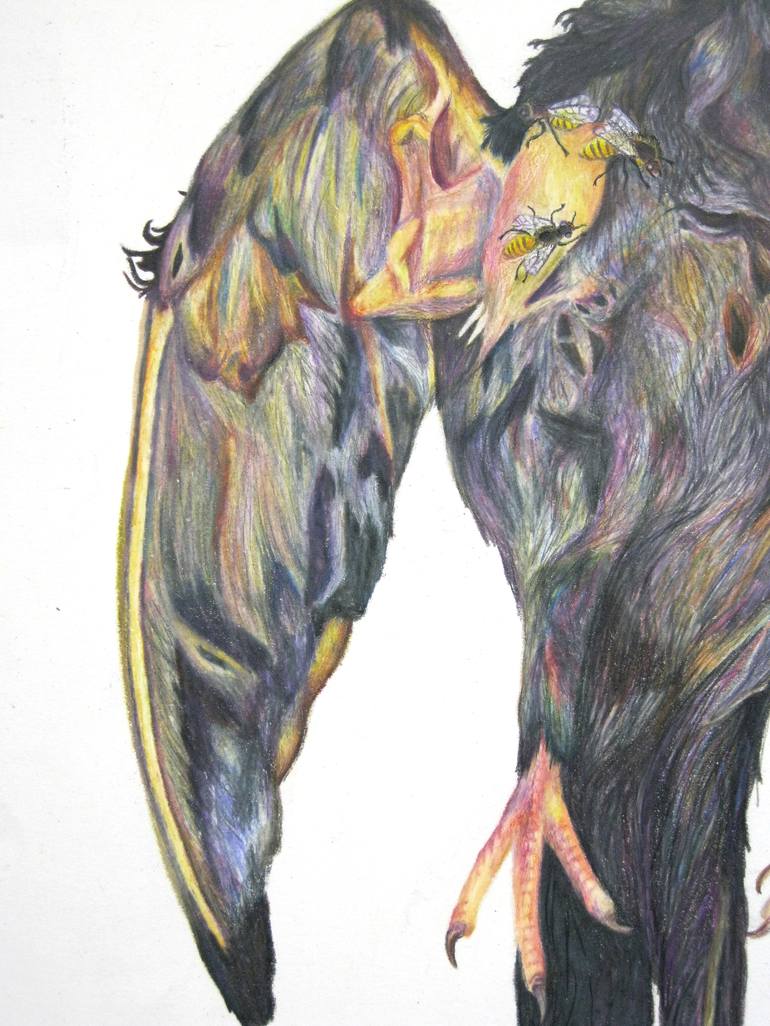 Original Animal Drawing by Hannah Ward