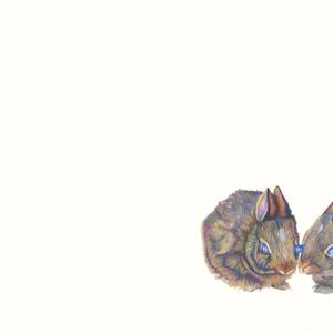 Collection Drawing: A Fine Line