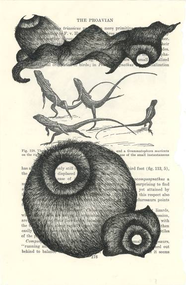 Original Surrealism Animal Drawings by Hannah Ward