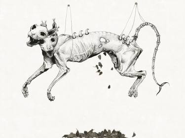 Original Animal Drawings by Hannah Ward