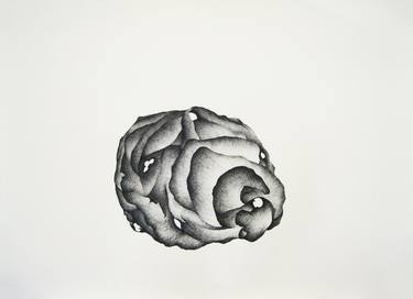 Original Surrealism Nature Drawings by Hannah Ward