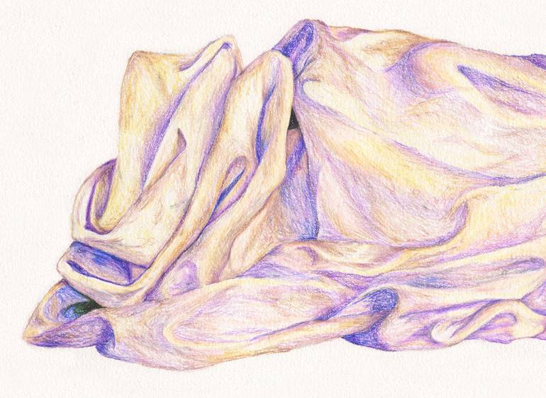 Original Illustration Still Life Drawing by Hannah Ward