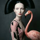 The Flamingo Witness by Evrim Duyal Akses