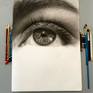 Progress shot