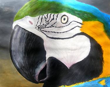 Parrot by Vicky (Y10) thumb