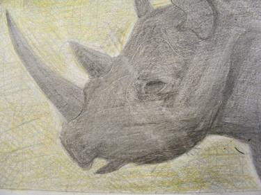 Save the Rhino by Mark C  thumb