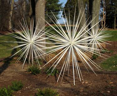 Windseeds by Norman Mooney (2009) thumb