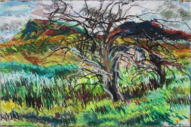 Original Post-impressionism Landscape Drawing by Lorna Ritz